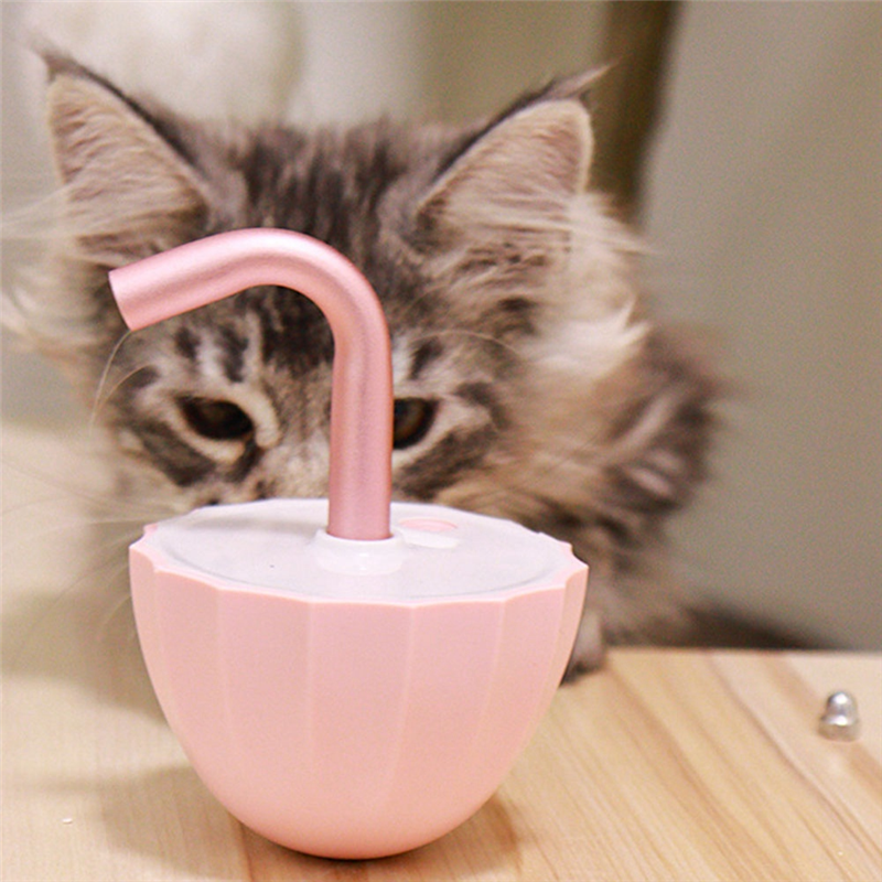 GIN Bored Cat- Interaction Toys