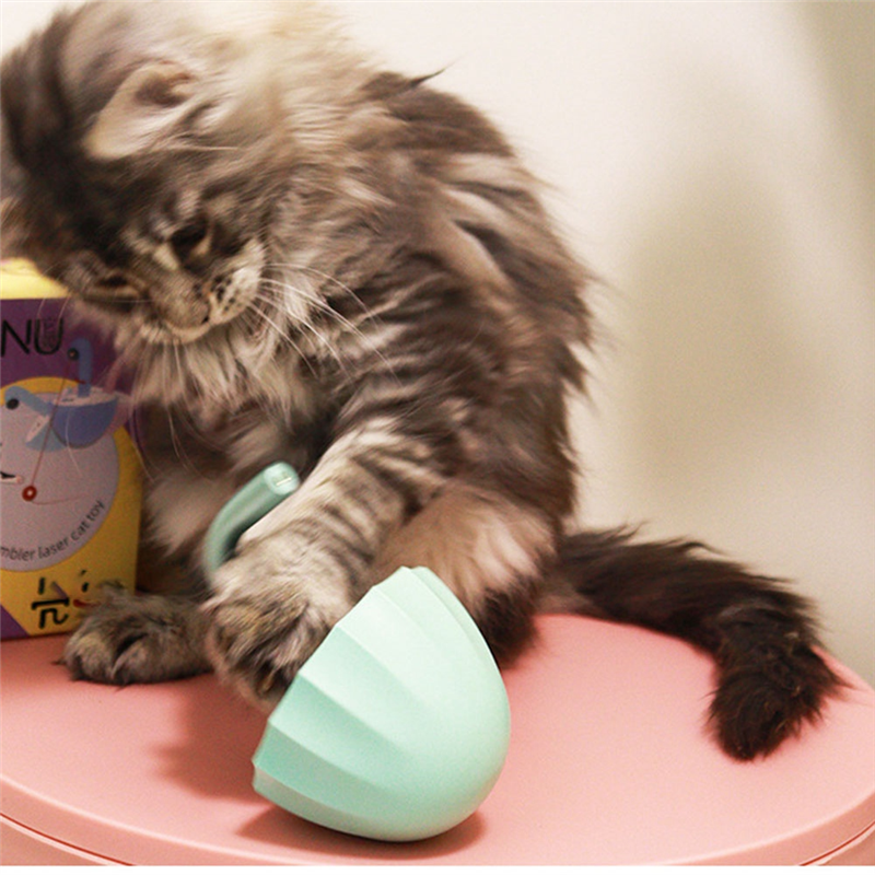 GIN Bored Cat- Interaction Toys