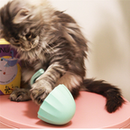 GIN Bored Cat- Interaction Toys