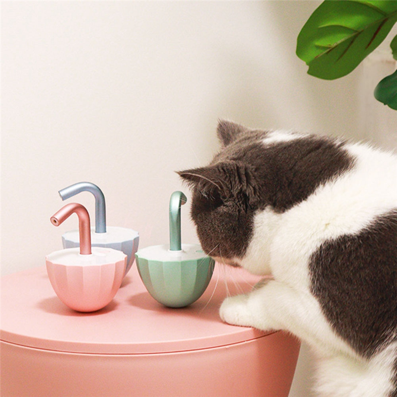 GIN Bored Cat- Interaction Toys