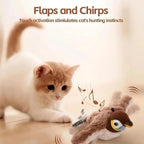 GIN Cat Toys