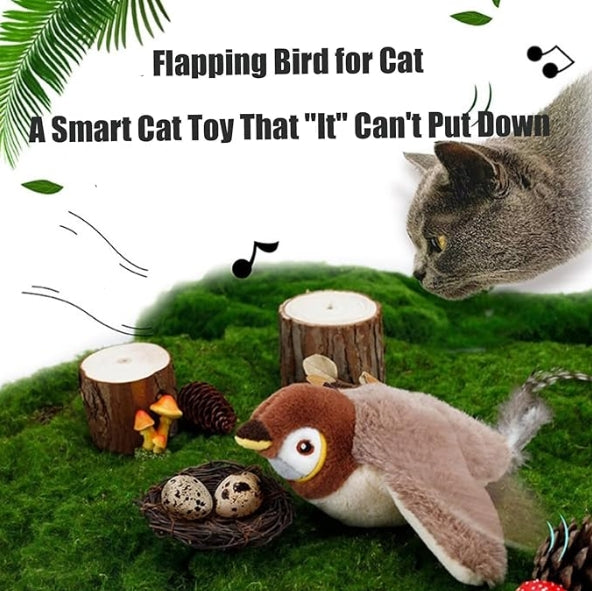 GIN Cat Toys